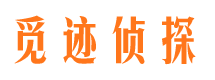 融安市私家侦探